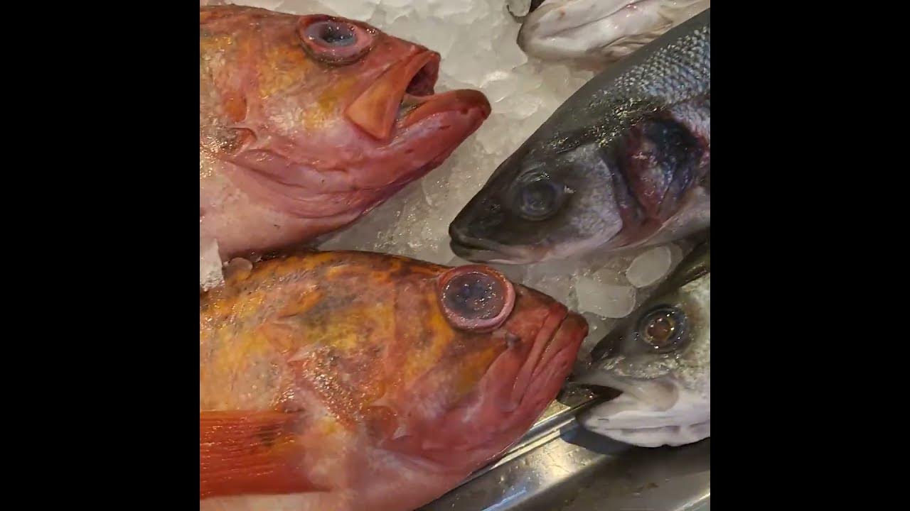 How To Pick Fresh Fish Sweet Zivile YouTube how-to-pick-fresh-fish-sweet-zivile-youtube
