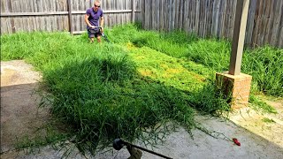 It's a MIRACLE I got COMPLETED - The client DIDN'T want me to FINISH the JOB!