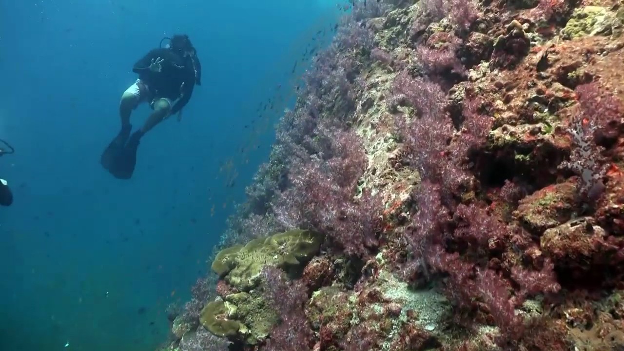 ⁣The Similans by Evgeny Kovban Part3