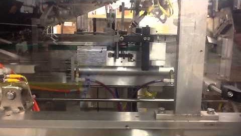 Econocorp E-System 2000 with belt conveyor & overhead pivoting infeed