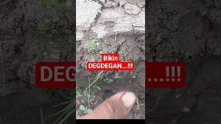 DARI DALAM!! Mulai Kelihatan 😱
