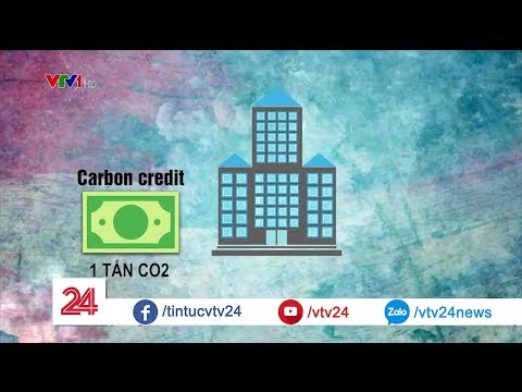 Video Tín dụng carbon là gì? | VTV24 - youtube
