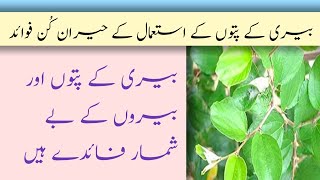 biari ke patto ka istemal ka fayda | Countless benefits of using berry leaves