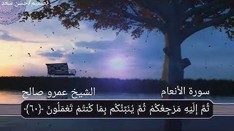 سورة الأنعام آية (٦٢:٦٠) بصوت @الشيخ عمرو صالح