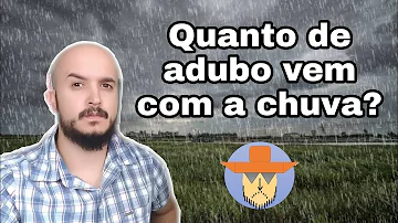 O que faz a água subir na planta?