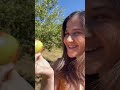 the BEST Secret Apple Picking Spot in San Bernardino County