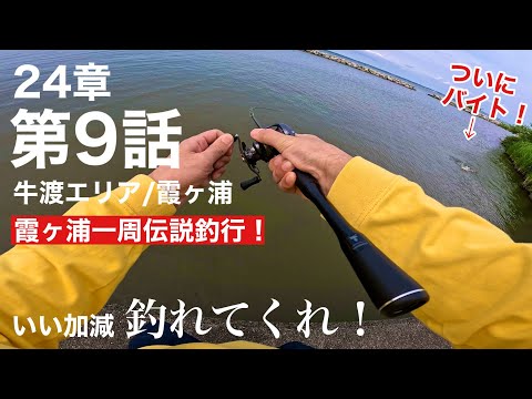 Chapter 24 Episode 9 [Ushiwata Area/Lake Kasumigaura/Mid-June/Bass Fishing] Episode 237