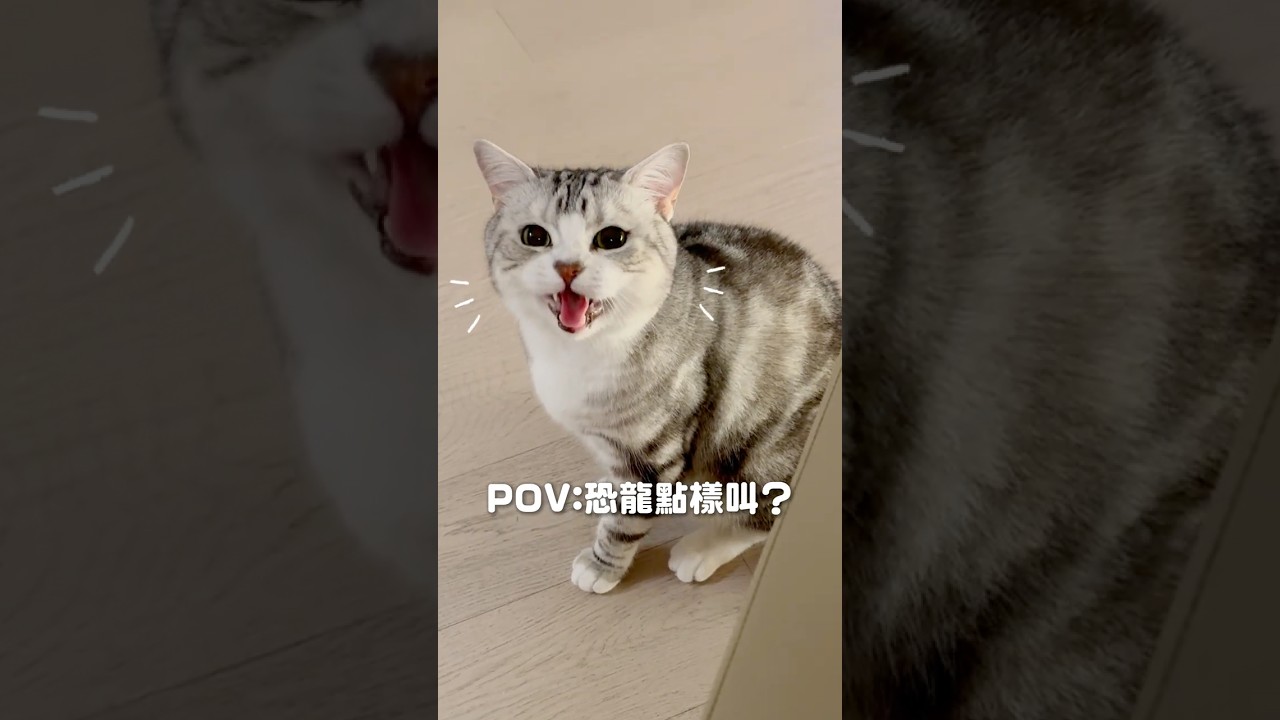 🦖POV:￼叫恐龍係點叫？ 縮圖