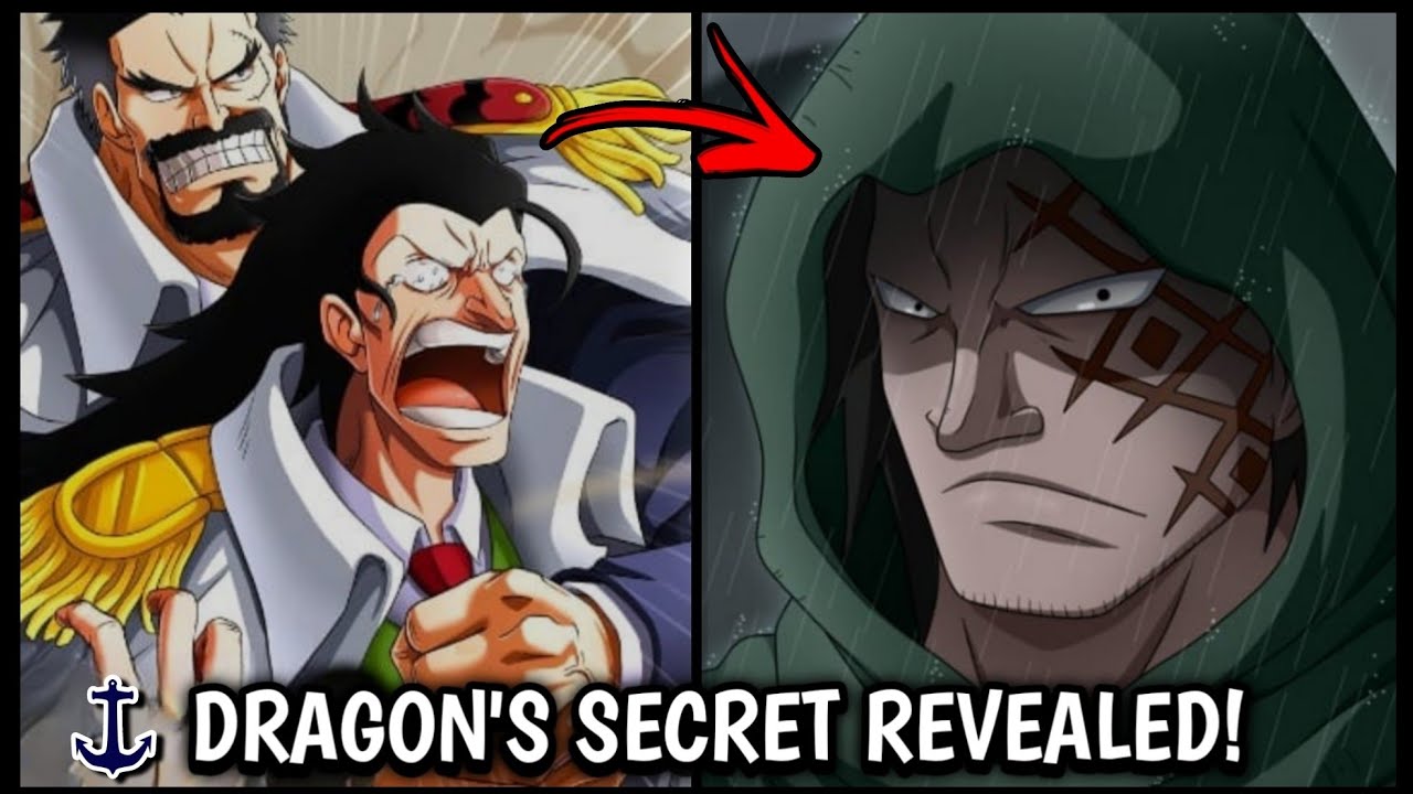 One Piece - Monkey D Dragon Shocking Past Revealed 