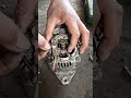 @servis dinamo amper suzuki forsa