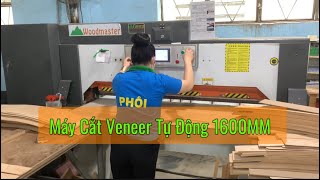 Máy Cắt Veneer Tự Động 1600MM - Woodmaster - WM-160A