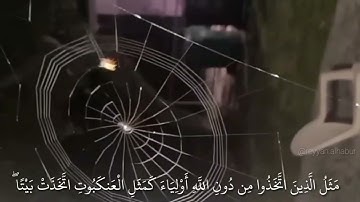 مثل الذين اتخذوا من دون الله أولياء كمثل العنكبوت | سورة العنكبوت الاية ٤١ | الشيخ ماهر المعيقلي