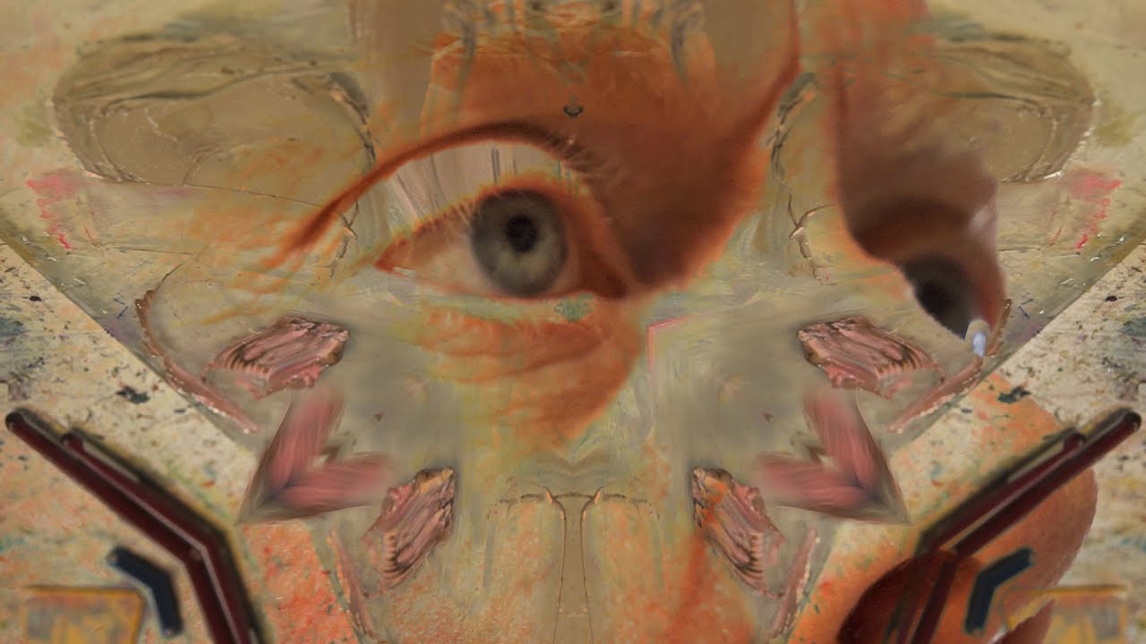 Fat Moth - Oak and Elm (Official Music Video)