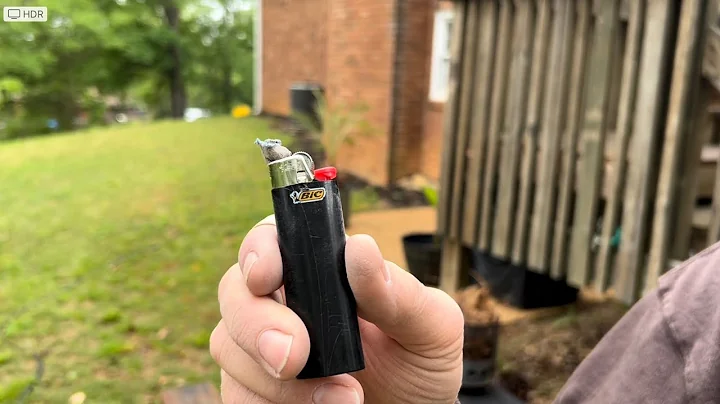 New Empty BIC Ignition Technique...Ashed Tinder