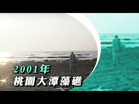 【看當年】2001年桃園大潭藻礁