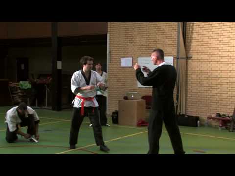 Nederlandse Wing Chun Federatie - Een Impressie