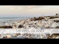 What is on the beach after a few days of winds? I showed up at 5am to find out!