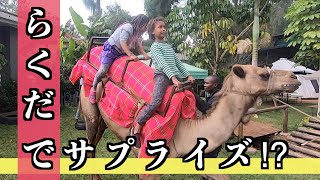 ラクダで子どもたちをハッピーにしてみた！