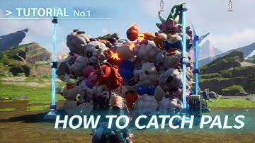 Palworld｜How to catch Pals | Palnews | Pocketpair