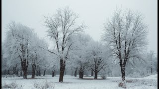 Nature ASMR: Snowy Afghanistan screenshot 3