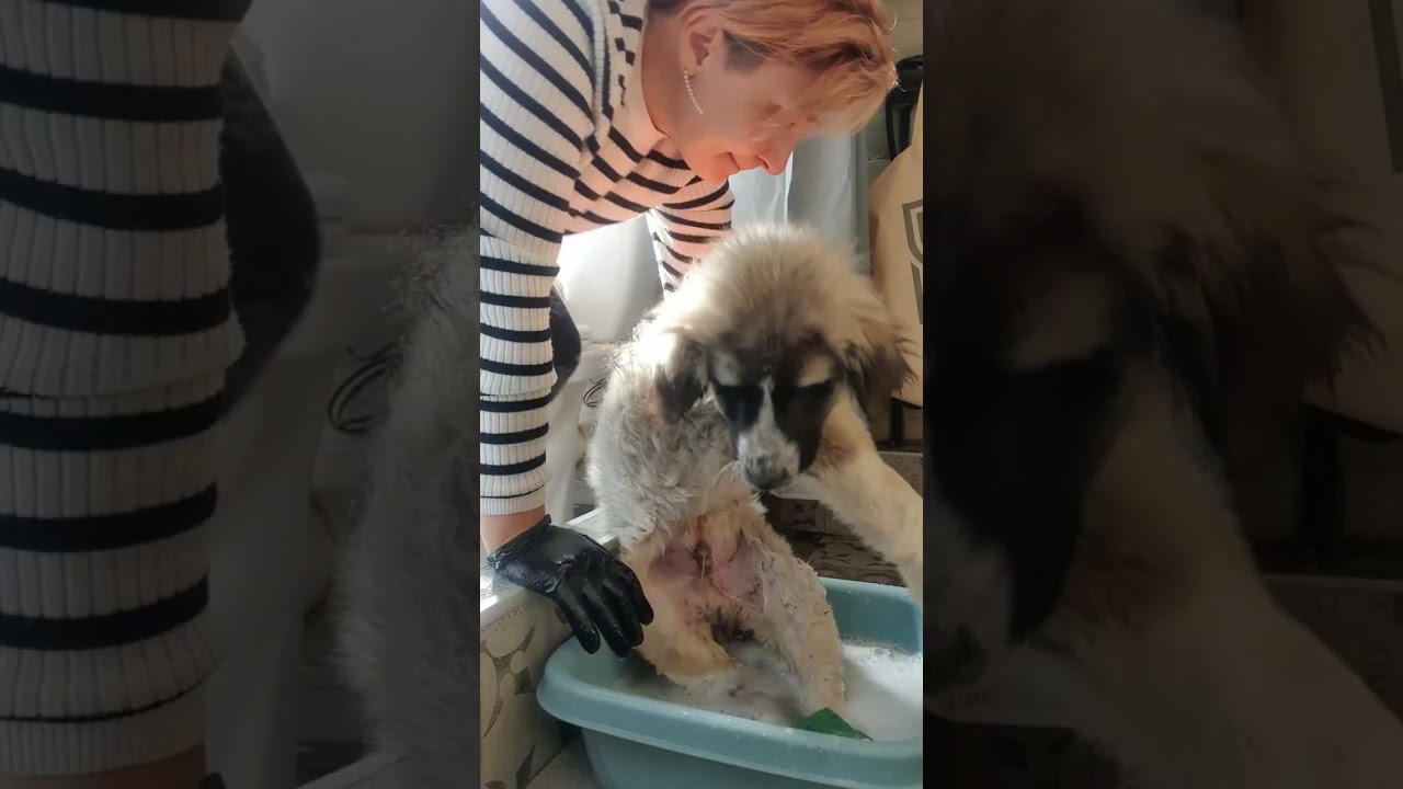 Staupe Test negativ 👌