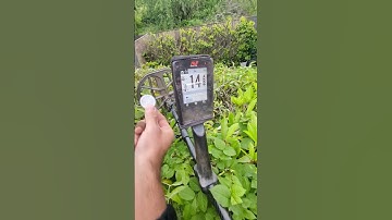 Hammered Penny vs Aluminum Foil on Minelab Manticore – The same Signal ID Number 😳