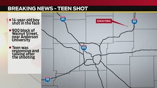 Anderson teen shot in the face