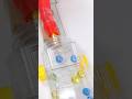 Marble Run Race ASMR☆HABA Slope Pop Tube #Shorts #marblerun #marble #satisfying