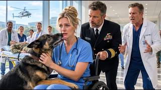 Trauma Chief Mocks Nurse in a Wheelchair—Then a Navy SEAL Calls Her “Captain” and Her K9 Finds Her News