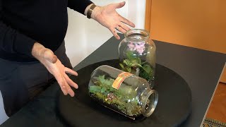 In A Pickle - How To Make A Pickle Jar Bottle Garden