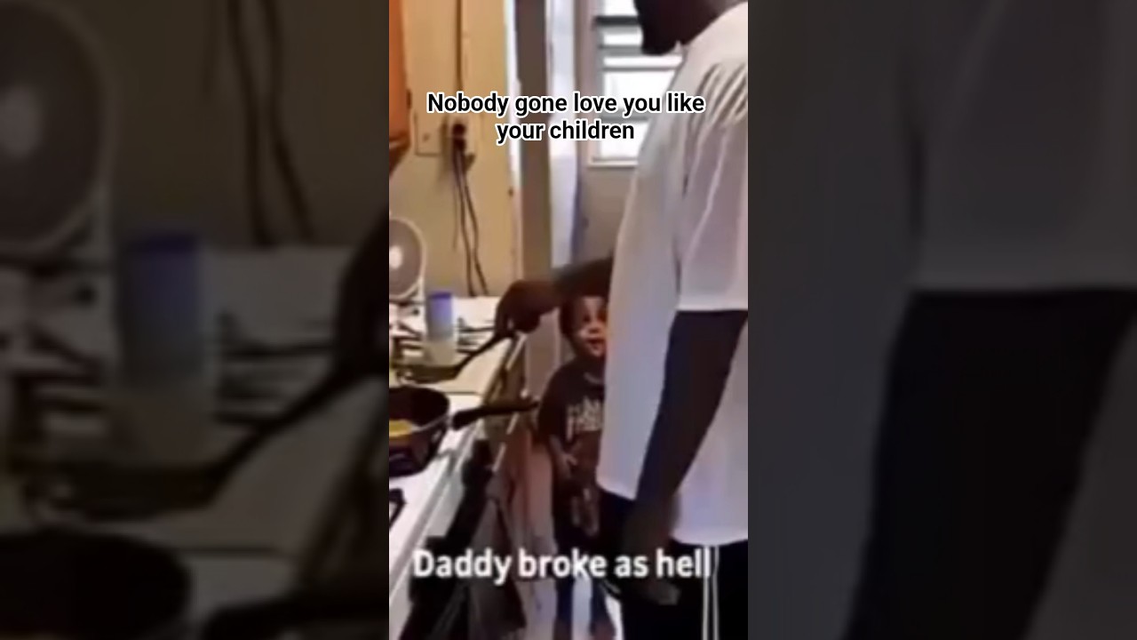 Funny Videos