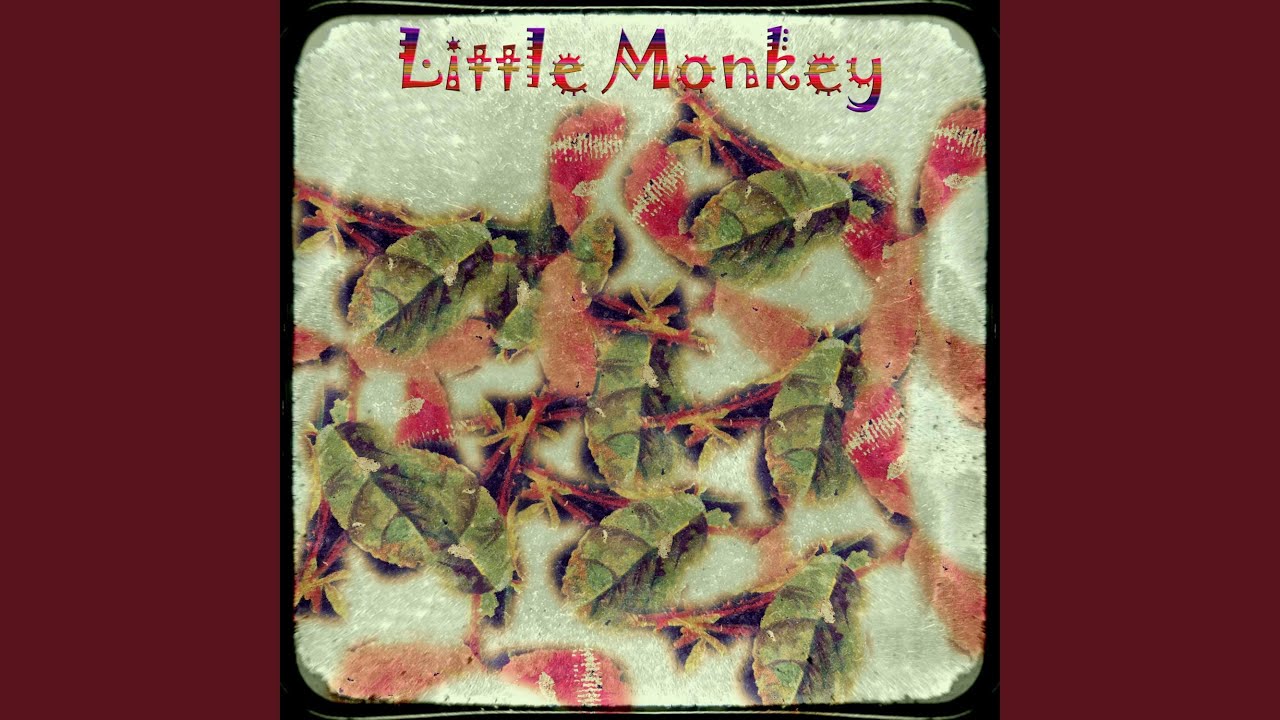 Guarda Little Monkey su YouTube Guarda Little Monkey su YouTube