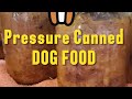 Fresh Dog Food