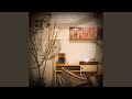 LoFi Theme