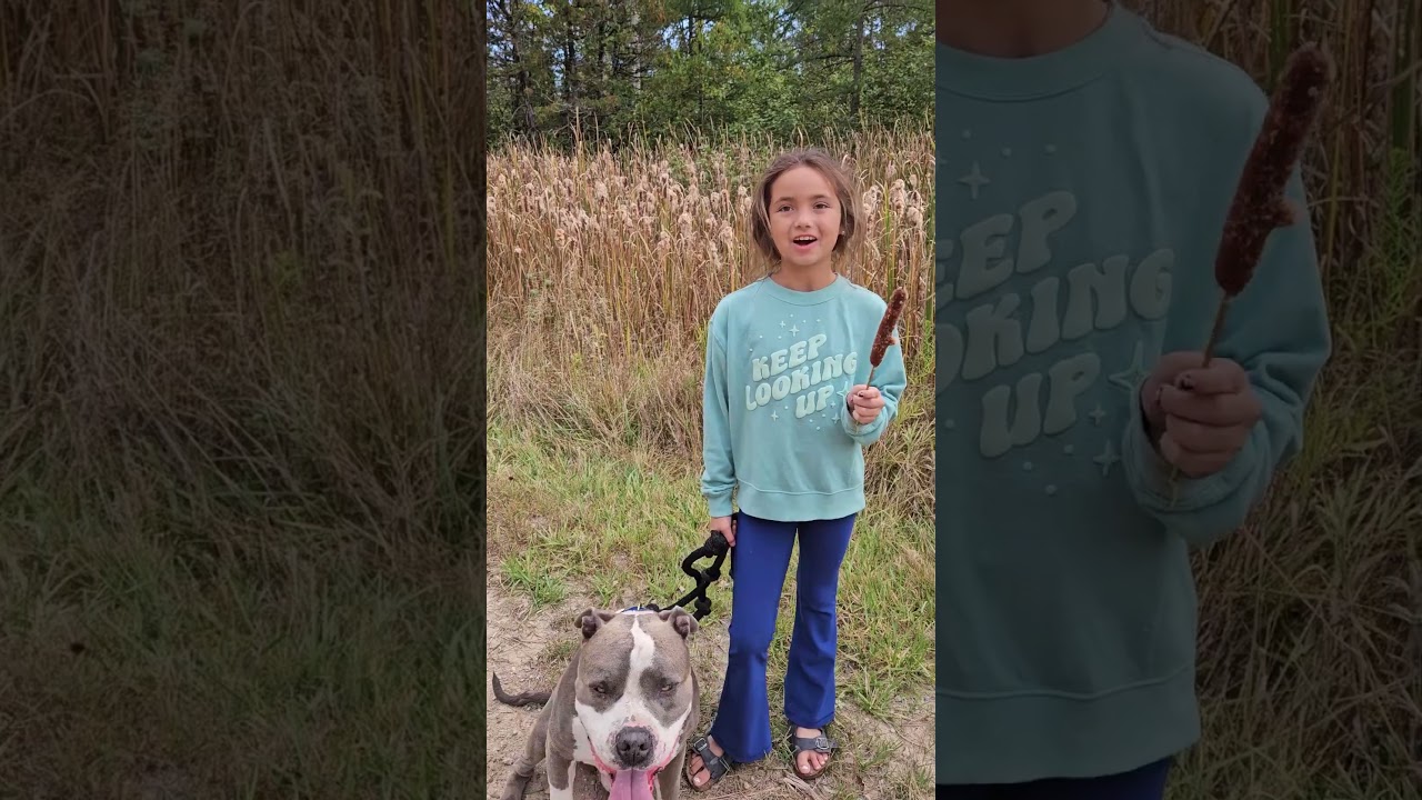 Superhero of WETLANDS?!? 