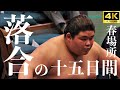 【落合|伯桜鵬|伯乃富士】あの“伝説”の取組も全て見せます。ショートカットver。大注目の春場所全取組十五番、落合の熱き闘いの記録【大相撲 sumo】