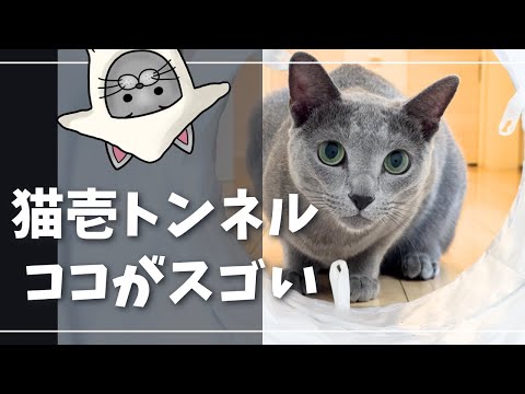 踏みしめた時のカサカサ音が猫好みすぎる【ロシアンブルー】猫壱キャットトンネル