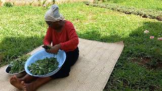 African Village Life How To Preserve Vegetables