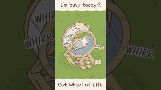 Cats & Soup : Cat Wheel of Life #Shorts