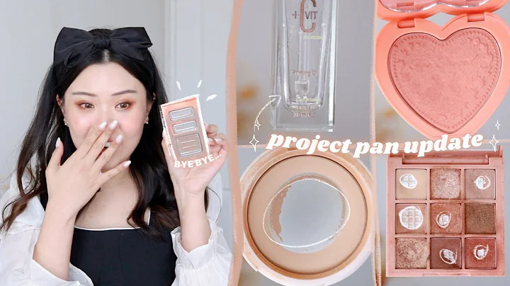 FINISHING AN *ENTIRE* PALETTE!!  project pan updat...