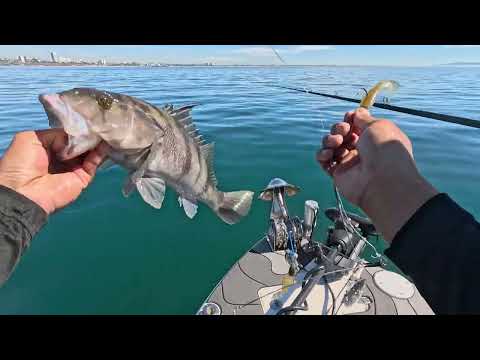 MEMBERS ONLY A Rig Presentation and Mechanics Walkthrough and Discount Code