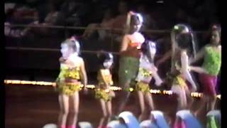D Skate 1993 - Group Number