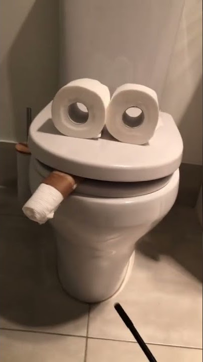 Toilet - TikTok roadtoaesthetics