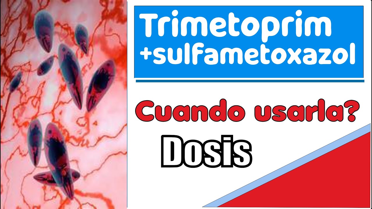sulfametoxazol + trimetoprim para que sirve efectos cuando usarla YouTube sulfametoxazol + trimetoprim para que sirve efectos cuando usarla YouTube