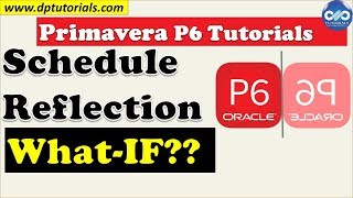What is Reflection in Primavera P6 and How to Use it || Primavera Tricks || dptutorials screenshot 1