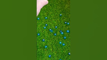 Marble Run ASMR☆HABA Wave Slope & Wooden Cuboro & #marblerace #marblerun #shorts #asmr #cuboro