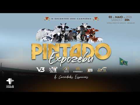 LOTE 21