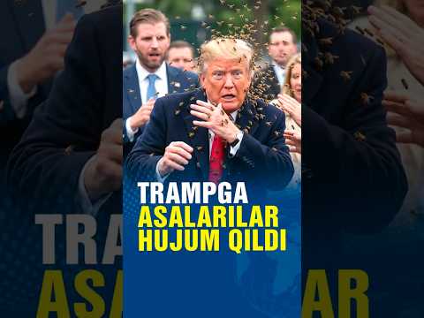 Trampga asalarilar hujum qildi
