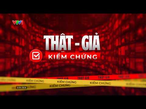 Fact or Fiction, Verification: Exposing Fake Electricity-Saving Devices | VTV24