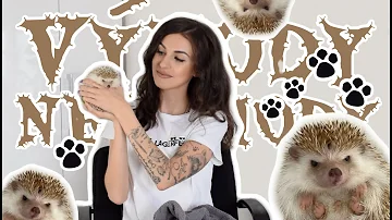 Co je délkové měřítko mapy?
